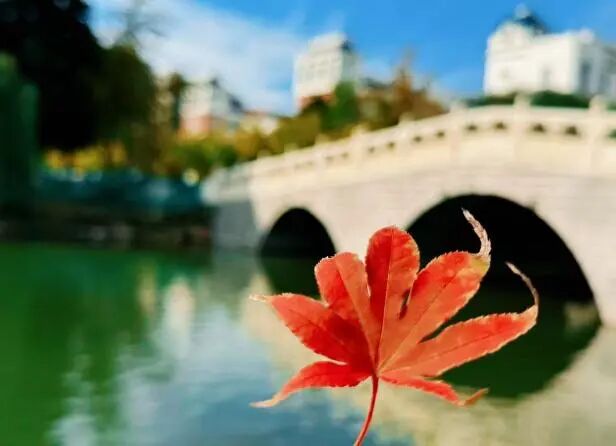 躬行践履，润心育人——班级管理实习心得