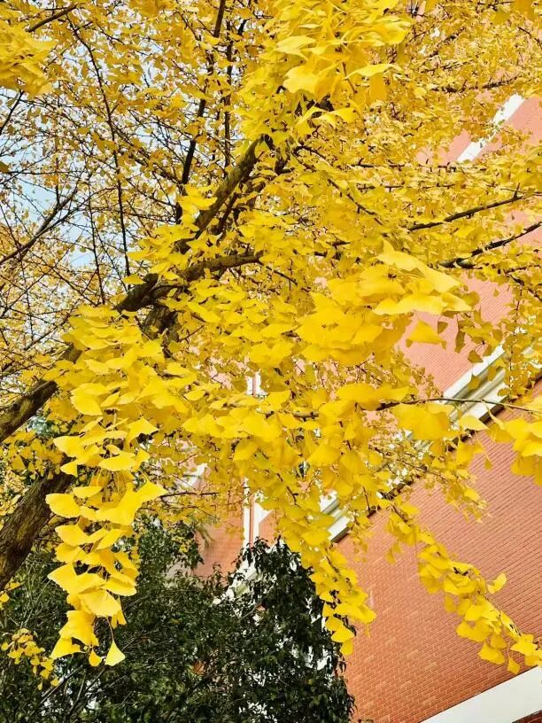 在铁屋中凿一扇窗  ——《反对党八股》教学反思