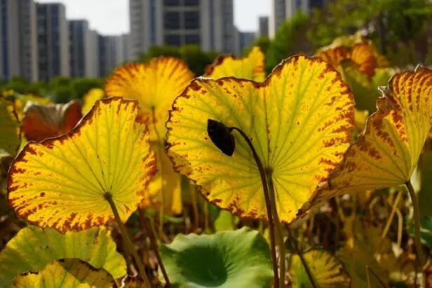 数据背后是成长